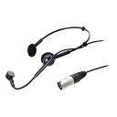 【中古】(非常に良い)audio-technica オーディオテクニカ ダイナミックマイクロホン PRO8HE