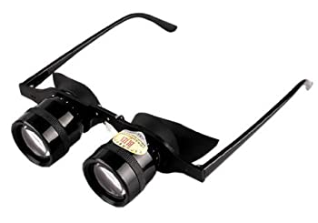 【中古】倍率 10倍 メガネ 型 双眼鏡 目幅 調整 可能