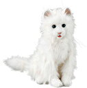 【中古】夢ねこセレブ