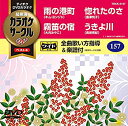 【中古】(非常に良い)テイチクDVDカラオケ カラオケサークルW ベスト4
