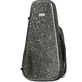 【中古】(非常に良い)BAGS ピストン トランペット用 ファイバーケース EFTR F-BLK