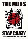 【中古】(未使用品)STAY CRAZY DVD