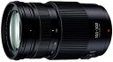 【中古】パナソニック 超望遠ズームレンズ マイクロフォーサーズ用 ルミックス G VARIO 100-300mm/F4.0-5.6 II /POWER O.I.