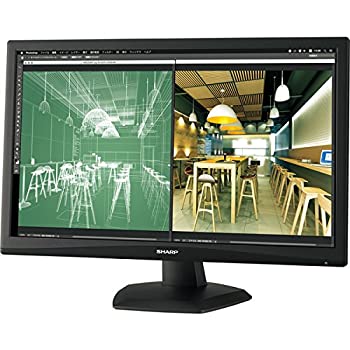 【中古】(非常に良い)シャープ 業務用液晶カラーモニター 22V型 LL-M220