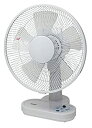 【中古】(非常に良い)TEKNOS 卓上扇風機 DCモーター 30cm羽根 KI-1061WDC ホワイト