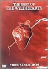 樂天商城 - 【中古】ザ・ベスト・オブ・ワイルドハーツ [DVD]