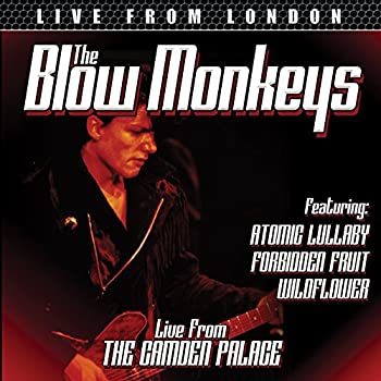 【中古】(非常に良い)Live From London [DVD] [Import]