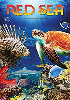 【中古】(未使用品)Red Sea [DVD]