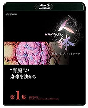 【中古】(未使用品)NHKスペシャル 人体 神秘の巨大ネットワーク 第1集 腎臓が寿命を決める [Blu-ray]