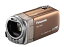 【中古】(非常に良い)パナソニック デジタルハイビジョンビデオカメラ ゴールド HDC-TM35-N