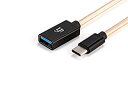 【中古】(未使用品)IFIオーディオOTGケーブルfor USB C