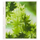 【中古】(未使用品)HAKUBA レポートアルバムDX用替台紙 4切 520194(2)