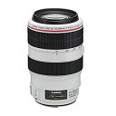 【中古】(非常に良い)Canon 望遠ズームレンズ EF70-300mm F4-5.6L IS USM フルサイズ対応