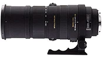 yÁzSIGMA ]Y[Y APO 150-500mm F5-6.3 DG OS HSM \j[p tTCYΉ 927233