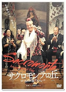 【中古】(非常に良い)サクロモンテの丘 ロマの洞窟フラメンコ [DVD]