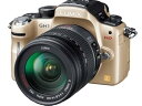 【中古】パナソニック デジタル一眼カメラ LUMIX GH1 レンズキットコンフォートゴールド DMC-GH1K-N