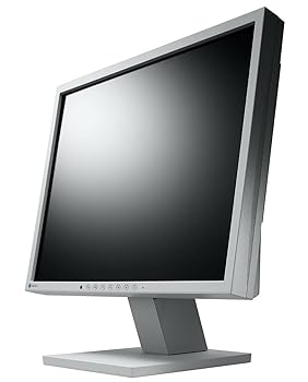【中古】(非常に良い)EIZO FlexScan S1703-TGY セレーングレイ