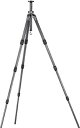 【中古】GITZO 三脚 マウンテニア- 4段ラピッド 2型 G1228