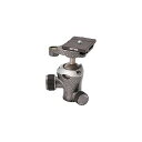 【中古】(未使用品)ジッツオ(GITZO) 雲台 トラベラー センターボール 1型QD GH1382TQD