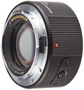 【中古】パナソニック(Panasonic) DMW-STC20 LUMIX 2.0× テレコンバーター