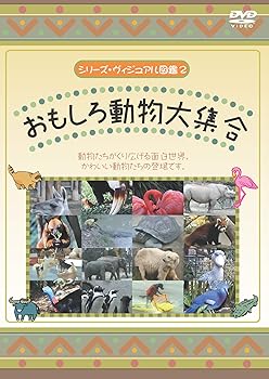 【中古】おもしろ動物大集合 [DVD]
