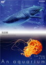 【中古】NHKDVD 水族館~An Aquarium~ 海遊館