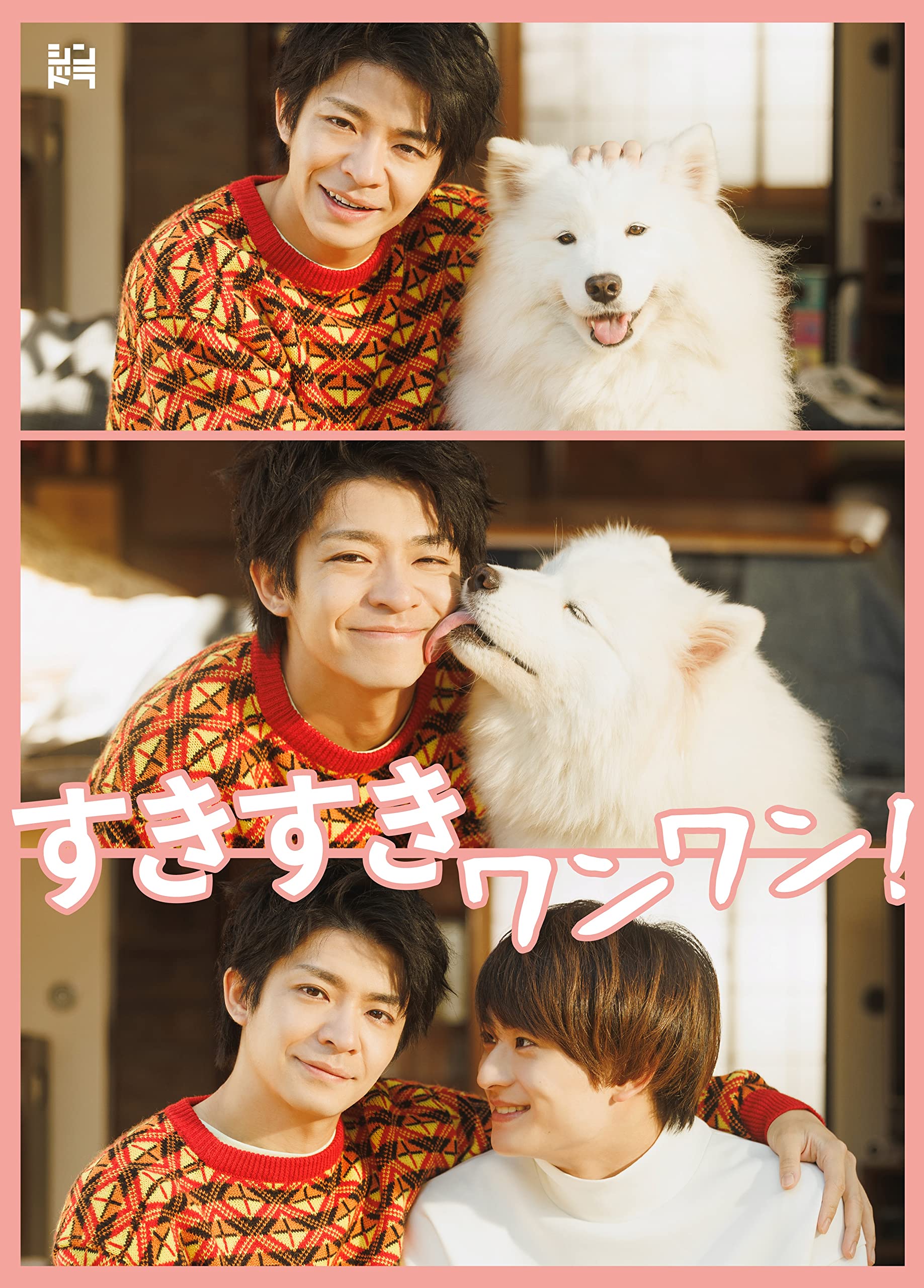 【中古】(非常に良い)すきすきワンワン! (DVD BOX) (特典なし)