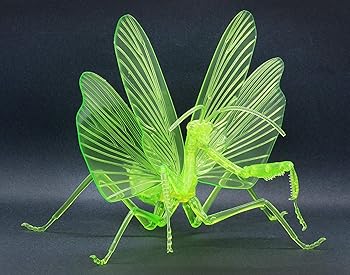 【中古】(非常に良い)自由研究シリーズ No.23 EX-2 いきもの編 オオカマキリ 特別仕様(クリアーグリーン) プラモデル(3.0)