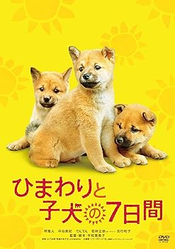 【中古】(非常に良い)ひまわりと子犬の7日間 [DVD]【メーカー名】【メーカー型番】【ブランド名】松竹ホームビデオ, 【商品説明】ひまわりと子犬の7日間 [DVD]初期不良に関する返品 商品到着から7日間以内に初期不良が発生した場合のみ、返品をお受けいたします。 お客様都合のキャンセル・返品 イメージと異なる、必要でなくなった等の理由によるキャンセル・返品は一切お受けしておりません。 付属品に関する確認 中古品は基本的に説明書、外箱、ドライバーインストール用CD-ROMは付属しておりません。 特にレンタル落ちの商品には、収納BOXや特典類など一切の付属品がないことをご理解ください。 また、商品名に「限定」や「保証」と記載があっても、特典や保証、ダウンロードコードは含まれておりません。 掲載内容と付属品が異なる場合、受注前に内容確認のメールをお送りいたします。 商品画像について 掲載されている写真は代表画像です。実際の商品とは異なる場合がありますので、予めご了承ください。 中古品の状態 中古品はキズや汚れがある場合がありますので、その点をご理解いただける方のみご購入ください。 在庫状況について 他のモールでも販売しているため、ご注文のタイミングによっては商品がご用意できない場合があります。 その場合、キャンセルのご連絡をさせていただきます。 上記ご理解の上、お買い求めいただけますようお願い申し上げます。 ご注文からお届けまで1．ご注文　　ご注文は24時間受け付けております 2．注文確認ご注文後、注文確認メールを送信します 3．在庫確認　多モールでも併売の為、在庫切れの場合はご連絡させて頂きます。　 ※中古品は受注後に、再メンテナンス、梱包しますのでお届けまで4?10営業日程度とお考え下さい。 4．入金確認　前払い決済をご選択の場合、ご入金確認後に商品確保・配送手配を致します。 5．出荷 　配送準備が整い次第、出荷致します。配送業者、追跡番号等の詳細をメール送信致します。 6．到着　出荷後、1?3日後に商品が到着します。 　※離島、北海道、九州、沖縄は遅れる場合がございます。予めご了承下さい。0