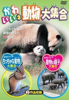 【中古】かわいいネ 動物大集合 [DVD]