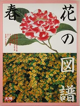 【中古】花の図譜　春【メーカー名】【メーカー型番】【ブランド名】【商品説明】花の図譜　春初期不良に関する返品 商品到着から7日間以内に初期不良が発生した場合のみ、返品をお受けいたします。 お客様都合のキャンセル・返品 イメージと異なる、必要でなくなった等の理由によるキャンセル・返品は一切お受けしておりません。 付属品に関する確認 中古品は基本的に説明書、外箱、ドライバーインストール用CD-ROMは付属しておりません。 特にレンタル落ちの商品には、収納BOXや特典類など一切の付属品がないことをご理解ください。 また、商品名に「限定」や「保証」と記載があっても、特典や保証、ダウンロードコードは含まれておりません。 掲載内容と付属品が異なる場合、受注前に内容確認のメールをお送りいたします。 商品画像について 掲載されている写真は代表画像です。実際の商品とは異なる場合がありますので、予めご了承ください。 中古品の状態 中古品はキズや汚れがある場合がありますので、その点をご理解いただける方のみご購入ください。 在庫状況について 他のモールでも販売しているため、ご注文のタイミングによっては商品がご用意できない場合があります。 その場合、キャンセルのご連絡をさせていただきます。 上記ご理解の上、お買い求めいただけますようお願い申し上げます。 ご注文からお届けまで1．ご注文　　ご注文は24時間受け付けております 2．注文確認ご注文後、注文確認メールを送信します 3．在庫確認　多モールでも併売の為、在庫切れの場合はご連絡させて頂きます。　 ※中古品は受注後に、再メンテナンス、梱包しますのでお届けまで4〜10営業日程度とお考え下さい。 4．入金確認　前払い決済をご選択の場合、ご入金確認後に商品確保・配送手配を致します。 5．出荷 　配送準備が整い次第、出荷致します。配送業者、追跡番号等の詳細をメール送信致します。 6．到着　出荷後、1〜3日後に商品が到着します。 　※離島、北海道、九州、沖縄は遅れる場合がございます。予めご了承下さい。0