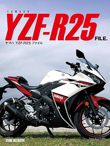 【中古】YAMAHA YZF-R25 FILE.