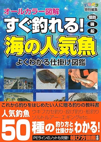 【中古】すぐ釣れる！海の人気魚—オールカラー図解