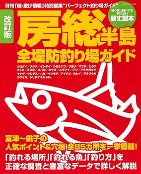 【中古】改訂版 房総半島全堤防釣り場ガイド (BIG1 170) cocohouse-10981715 COCOHOUSE パッケージ画像