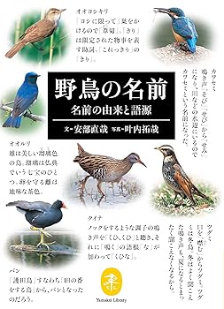 【中古】(非常に良い)ヤマケイ文庫 野鳥の名前 名前の由来と語源【メーカー名】【メーカー型番】【ブランド名】山と渓谷社 自然観察, 鳥類学, 登山・ハイキング, キャンプ 安部 直哉: Author; 叶内 拓哉: Photographer【商品説明】ヤマケイ文庫 野鳥の名前 名前の由来と語源初期不良に関する返品 商品到着から7日間以内に初期不良が発生した場合のみ、返品をお受けいたします。 お客様都合のキャンセル・返品 イメージと異なる、必要でなくなった等の理由によるキャンセル・返品は一切お受けしておりません。 付属品に関する確認 中古品は基本的に説明書、外箱、ドライバーインストール用CD-ROMは付属しておりません。 特にレンタル落ちの商品には、収納BOXや特典類など一切の付属品がないことをご理解ください。 また、商品名に「限定」や「保証」と記載があっても、特典や保証、ダウンロードコードは含まれておりません。 掲載内容と付属品が異なる場合、受注前に内容確認のメールをお送りいたします。 商品画像について 掲載されている写真は代表画像です。実際の商品とは異なる場合がありますので、予めご了承ください。 中古品の状態 中古品はキズや汚れがある場合がありますので、その点をご理解いただける方のみご購入ください。 在庫状況について 他のモールでも販売しているため、ご注文のタイミングによっては商品がご用意できない場合があります。 その場合、キャンセルのご連絡をさせていただきます。 上記ご理解の上、お買い求めいただけますようお願い申し上げます。 ご注文からお届けまで1．ご注文　　ご注文は24時間受け付けております 2．注文確認ご注文後、注文確認メールを送信します 3．在庫確認　多モールでも併売の為、在庫切れの場合はご連絡させて頂きます。　 ※中古品は受注後に、再メンテナンス、梱包しますのでお届けまで4〜10営業日程度とお考え下さい。 4．入金確認　前払い決済をご選択の場合、ご入金確認後に商品確保・配送手配を致します。 5．出荷 　配送準備が整い次第、出荷致します。配送業者、追跡番号等の詳細をメール送信致します。 6．到着　出荷後、1〜3日後に商品が到着します。 　※離島、北海道、九州、沖縄は遅れる場合がございます。予めご了承下さい。0