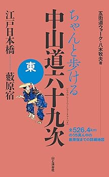【中古】(非常に良い)ちゃんと歩ける中山道六十九次 東 日本橋~藪原宿