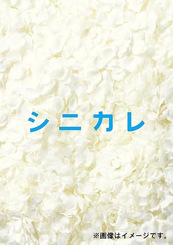 【中古】シニカレ完全版 DVD-BOX【メーカー名】【メーカー型番】【ブランド名】Avex Entertainment ドラマ, ラブロマンス, ファンタジー 藤ヶ谷太輔(Kis-My-Ft2): Actor; 桐谷美玲: Actor; マイコ: Actor; 升毅: Actor; 川平慈英: Actor; てんちむ: Actor; 本田翼: Actor; 笹野高史: Actor; 桐山照史(関西ジャニーズJr.): Actor【商品説明】シニカレ完全版 DVD-BOX初期不良に関する返品 商品到着から7日間以内に初期不良が発生した場合のみ、返品をお受けいたします。 お客様都合のキャンセル・返品 イメージと異なる、必要でなくなった等の理由によるキャンセル・返品は一切お受けしておりません。 付属品に関する確認 中古品は基本的に説明書、外箱、ドライバーインストール用CD-ROMは付属しておりません。 特にレンタル落ちの商品には、収納BOXや特典類など一切の付属品がないことをご理解ください。 また、商品名に「限定」や「保証」と記載があっても、特典や保証、ダウンロードコードは含まれておりません。 掲載内容と付属品が異なる場合、受注前に内容確認のメールをお送りいたします。 商品画像について 掲載されている写真は代表画像です。実際の商品とは異なる場合がありますので、予めご了承ください。 中古品の状態 中古品はキズや汚れがある場合がありますので、その点をご理解いただける方のみご購入ください。 在庫状況について 他のモールでも販売しているため、ご注文のタイミングによっては商品がご用意できない場合があります。 その場合、キャンセルのご連絡をさせていただきます。 上記ご理解の上、お買い求めいただけますようお願い申し上げます。 ご注文からお届けまで1．ご注文　　ご注文は24時間受け付けております 2．注文確認ご注文後、注文確認メールを送信します 3．在庫確認　多モールでも併売の為、在庫切れの場合はご連絡させて頂きます。　 ※中古品は受注後に、再メンテナンス、梱包しますのでお届けまで4〜10営業日程度とお考え下さい。 4．入金確認　前払い決済をご選択の場合、ご入金確認後に商品確保・配送手配を致します。 5．出荷 　配送準備が整い次第、出荷致します。配送業者、追跡番号等の詳細をメール送信致します。 6．到着　出荷後、1〜3日後に商品が到着します。 　※離島、北海道、九州、沖縄は遅れる場合がございます。予めご了承下さい。0