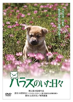 【中古】「きな子~見習い警察犬の物語~」DVD発売記念 犬だワンダフルキャンペーン ハラスのいた日々 (限定生産)【メーカー名】【メーカー型番】【ブランド名】松竹 ドラマ 加藤剛: Actor; 十朱幸代: Actor; 栗山富夫: Director; 益岡徹: Actor; 日下由美: Actor【商品説明】「きな子~見習い警察犬の物語~」DVD発売記念 犬だワンダフルキャンペーン ハラスのいた日々 (限定生産)初期不良に関する返品 商品到着から7日間以内に初期不良が発生した場合のみ、返品をお受けいたします。 お客様都合のキャンセル・返品 イメージと異なる、必要でなくなった等の理由によるキャンセル・返品は一切お受けしておりません。 付属品に関する確認 中古品は基本的に説明書、外箱、ドライバーインストール用CD-ROMは付属しておりません。 特にレンタル落ちの商品には、収納BOXや特典類など一切の付属品がないことをご理解ください。 また、商品名に「限定」や「保証」と記載があっても、特典や保証、ダウンロードコードは含まれておりません。 掲載内容と付属品が異なる場合、受注前に内容確認のメールをお送りいたします。 商品画像について 掲載されている写真は代表画像です。実際の商品とは異なる場合がありますので、予めご了承ください。 中古品の状態 中古品はキズや汚れがある場合がありますので、その点をご理解いただける方のみご購入ください。 在庫状況について 他のモールでも販売しているため、ご注文のタイミングによっては商品がご用意できない場合があります。 その場合、キャンセルのご連絡をさせていただきます。 上記ご理解の上、お買い求めいただけますようお願い申し上げます。 ご注文からお届けまで1．ご注文　　ご注文は24時間受け付けております 2．注文確認ご注文後、注文確認メールを送信します 3．在庫確認　多モールでも併売の為、在庫切れの場合はご連絡させて頂きます。　 ※中古品は受注後に、再メンテナンス、梱包しますのでお届けまで4〜10営業日程度とお考え下さい。 4．入金確認　前払い決済をご選択の場合、ご入金確認後に商品確保・配送手配を致します。 5．出荷 　配送準備が整い次第、出荷致します。配送業者、追跡番号等の詳細をメール送信致します。 6．到着　出荷後、1〜3日後に商品が到着します。 　※離島、北海道、九州、沖縄は遅れる場合がございます。予めご了承下さい。0