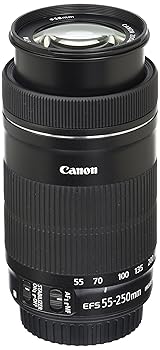 Power Supplies, Chargers - 【中古】(未使用品)EF S 55 to 250mm f 4 5.6 IS
