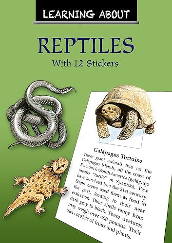 (非常に良い)Learning About Reptiles (Dover Little Activity Books: Animals)