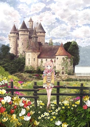 Peripheral Equipment - 【中古】(非常に良い)メルルのアトリエ ~アーランドの錬金術士3~ (プレミアムボックス:ペーパーウェイト／ねんどろいどぷらす メルルチャーム同梱)