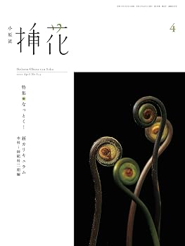 【中古】小原流挿花(オハラリュウソウカ)2020年4月号