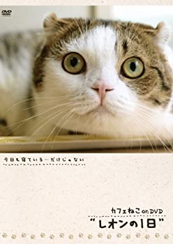 šۥեͤonDVD 쥪1