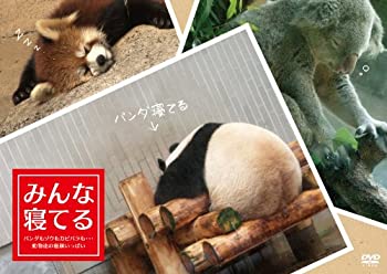 【中古】みんな寝てる　—パンダもゾウもカピバラも・・・動物達の寝顔いっぱいー [DVD]【メーカー名】ポニーキャニオン【メーカー型番】【ブランド名】ポニーキャニオン【商品説明】みんな寝てる　—パンダもゾウもカピバラも・・・動物達の寝顔いっぱいー [DVD]イメージと違う、必要でなくなった等、お客様都合のキャンセル・返品は一切お受けしておりません。商品名に「限定」「保証」等の記載がある場合でも特典や保証・ダウンロードコードは付いておりません。写真は代表像であり実際にお届けする商品の状態とは異なる場合があります。中古品の場合は中古の特性上、キズ・汚れがある場合があります。[import]の記載があるものや輸入盤の場合はリージョンコードや映像の形式をご確認の上ご購入ください。他モール併売のため、万が一お品切れの場合はご連絡致します。当店では初期不良に限り、商品到着から7日間は返品をお受けいたします。ご注文からお届けまで1．ご注文　　ご注文は24時間受け付けております2．注文確認　ご注文後、注文確認メールを送信します3．在庫確認　　　　多モールでも併売の為、在庫切れの場合はご連絡させて頂きます。　 ※中古品は受注後に、再メンテナンス、梱包しますのでお届けまで4〜10営業日程度とお考え下さい。4．入金確認 　 前払い決済をご選択の場合、ご入金確認後に商品確保・配送手配を致します。5．出荷 　配送準備が整い次第、出荷致します。配送業者、追跡番号等の詳細をメール送信致します。6．到着　 　出荷後、1〜3日後に商品が到着します。　※離島、北海道、九州、沖縄は遅れる場合がございます。予めご了承下さい。