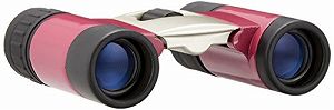 【中古】Vixen 双眼鏡 ジョイフルシリーズ ジョイフルH6×18 12746-7