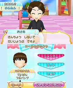 【中古】(未使用品)美容師デビュー物語 トップスタイリストをめざそう! - 3DS 【中古】(未使用品)美容師デビュー物語 トップスタイリストをめざそう! - 3DS