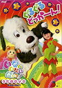 【中古】NHKいないいないばぁ ぐるぐるどっか~ん! [DVD]