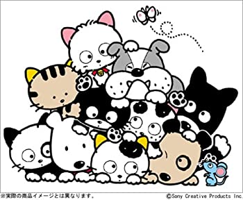 ����šۤ����Υ����Τ�ޤ���? 20��ǯ�ץ�ߥ���DVD-BOX