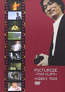 (未使用品)PICTURIZE 
