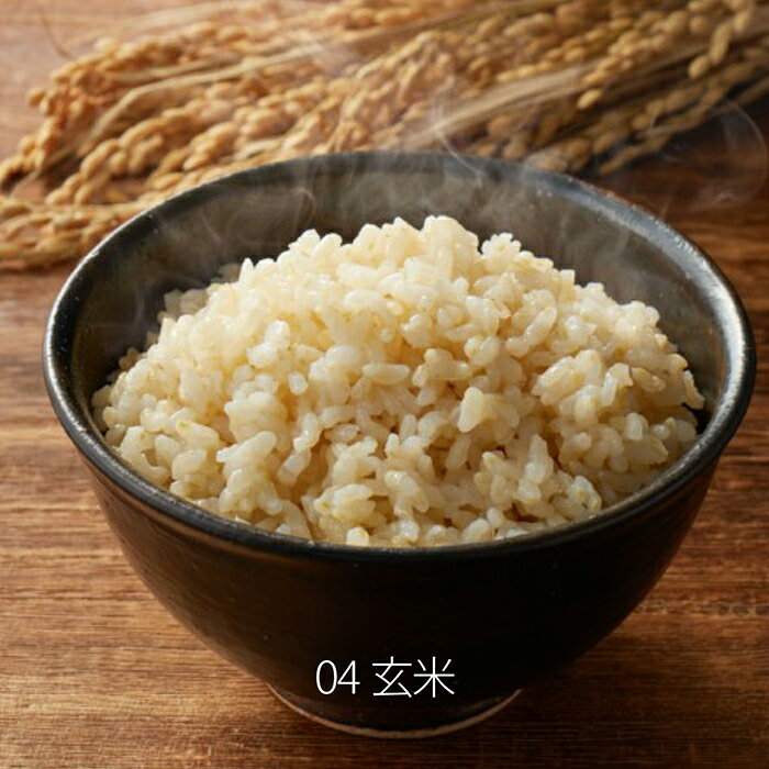炊飯器ワンタッチライスクッカー5合炊きワンタッチ操作5つの炊飯コース早炊き無洗米白米玄米おかゆスチーム調理炊飯予約保温HK-RK5